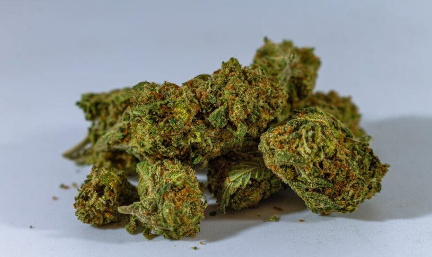 Купить спайс в Брянске