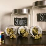 Купить семена конопли и семян марихуаны: свойства, виды, параметры выбора img-1074.jpg