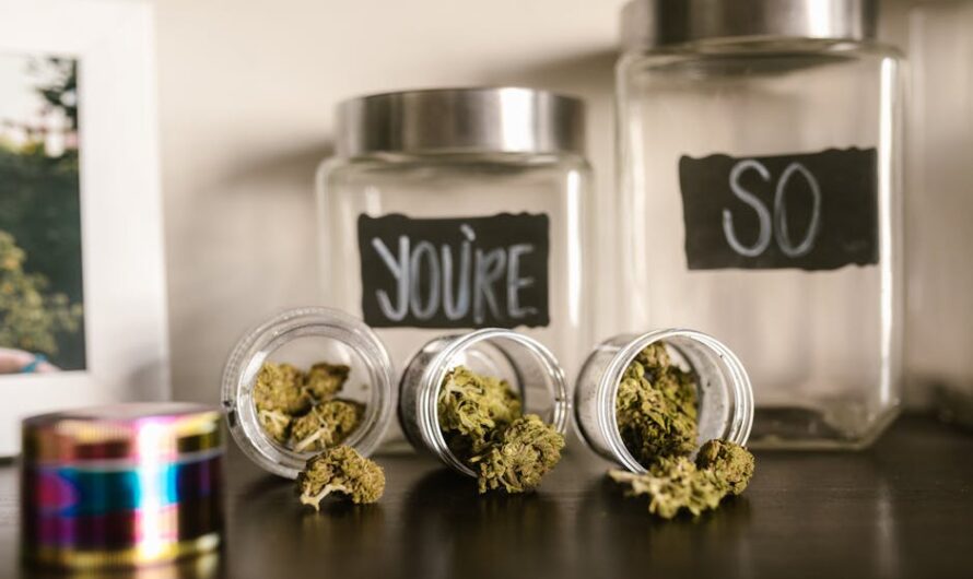 Купить семена конопли и семян марихуаны: свойства, виды, параметры выбора