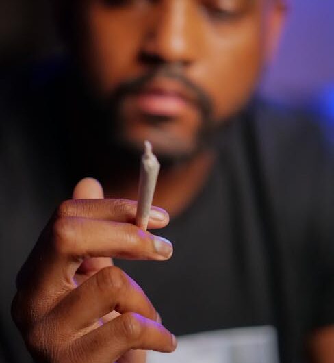 Сорт конопли Амнезия CBD и его преимущества