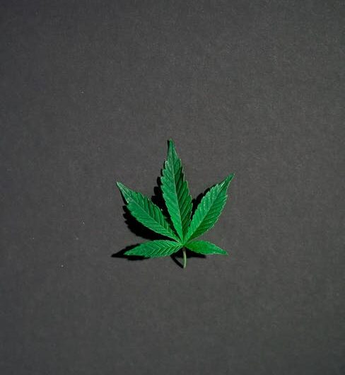 Купить гашиш в Краснодаре