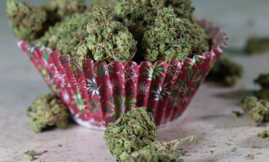 Конопля в Воронеже: характеристики и особенности культивирования