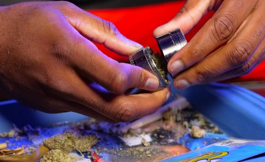 Семена конопли Atomical Haze feminised от Paradise Seeds