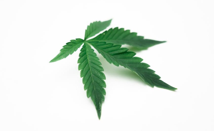 Купить спайс в Артеме онлайн