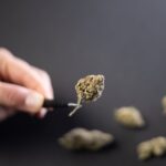 Купить гашиш онлайн в России img-1187.jpg