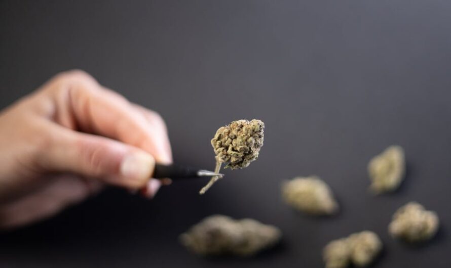 Купить гашиш онлайн в России