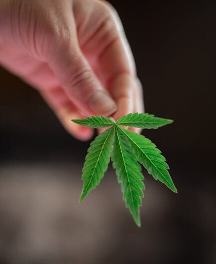 Урбеч из семян льна и конопли полезные свойства и применение