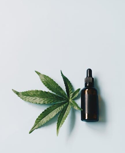 Особенности и применение афганской конопли