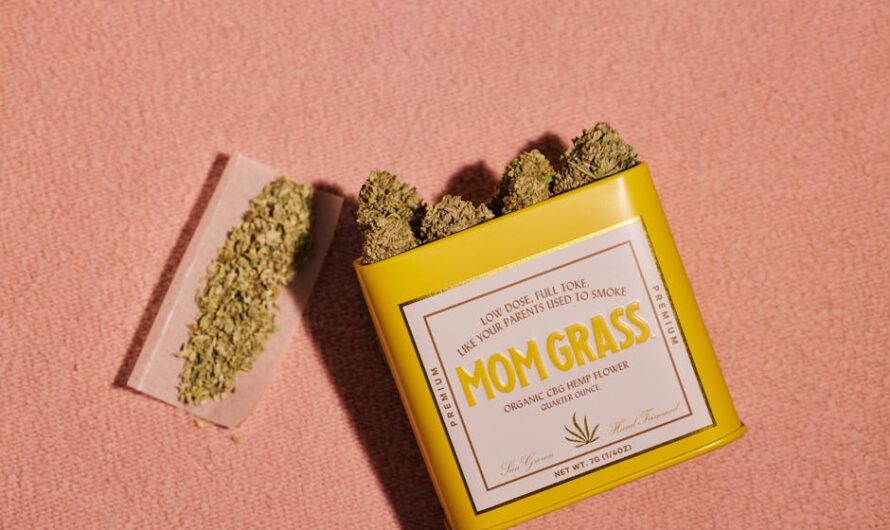 Сорт конопли Sour Tangie от Crockett Family Farms