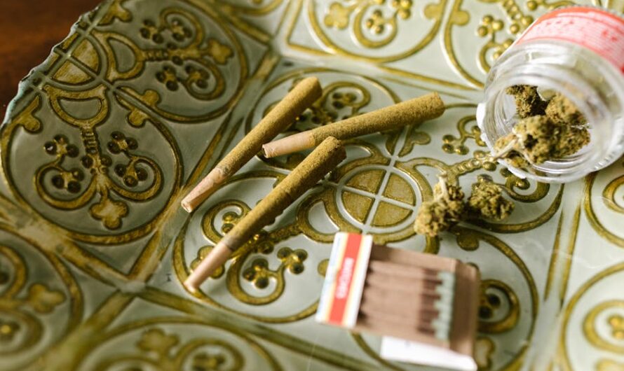 Семена конопли полезные свойства и применение