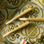 Полезные свойства семян конопли для здоровья почек img-1364.jpg