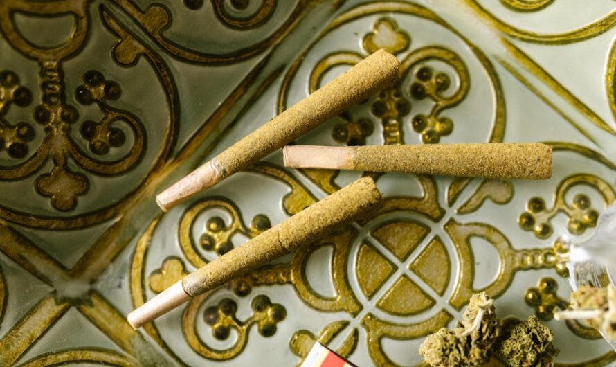 Полезные свойства семян конопли для здоровья почек