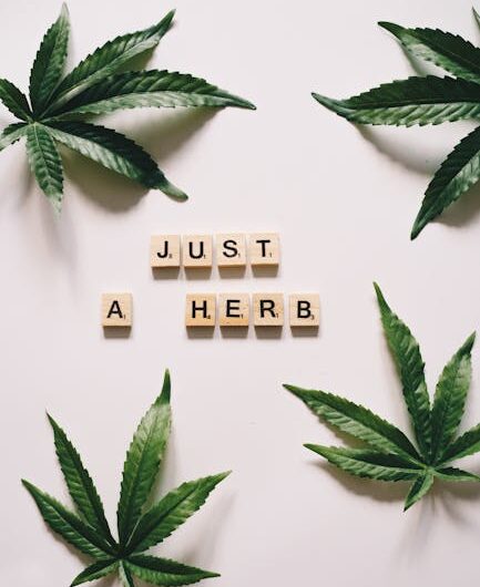 Кракен даркнет площадка и ее зеркало для безопасного приобретения наркотических средств