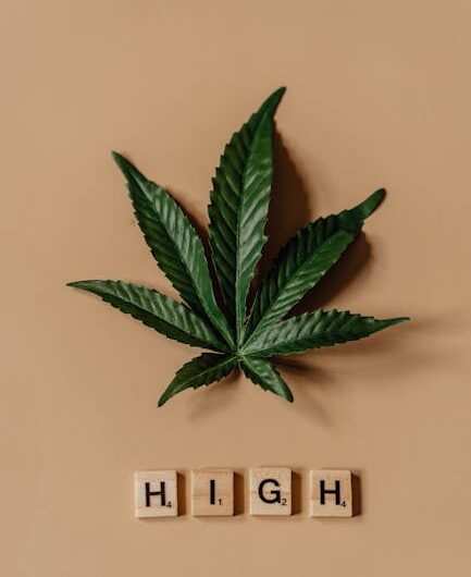 Польза и использование конопли в кулинарии