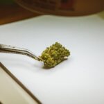 Семена конопли и их использование в кулинарии и здоровом питании img-1412.jpg