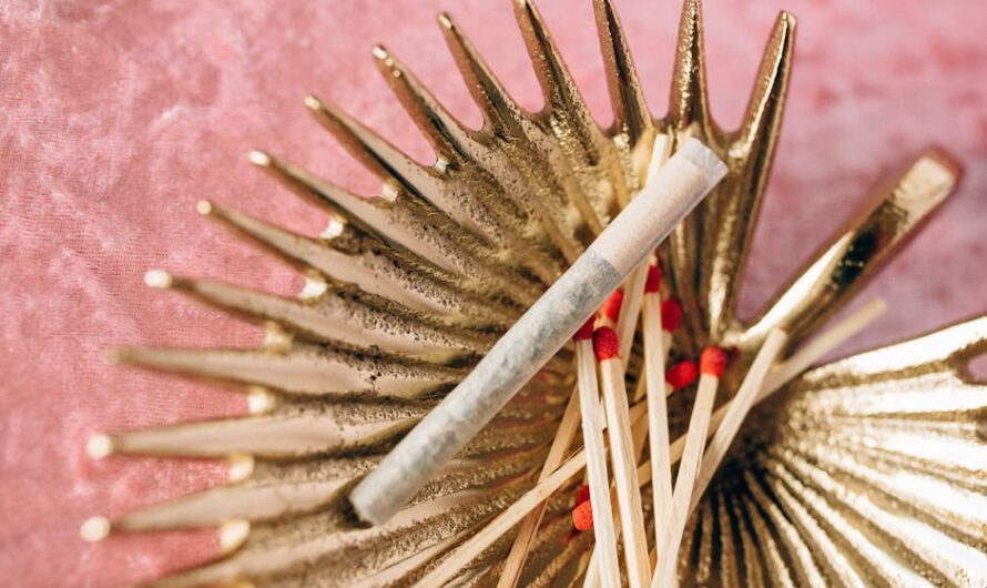 Выращивание конопли в Крыму