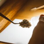 Семена марихуаны и канабиса для выращивания в России img-1572.jpg