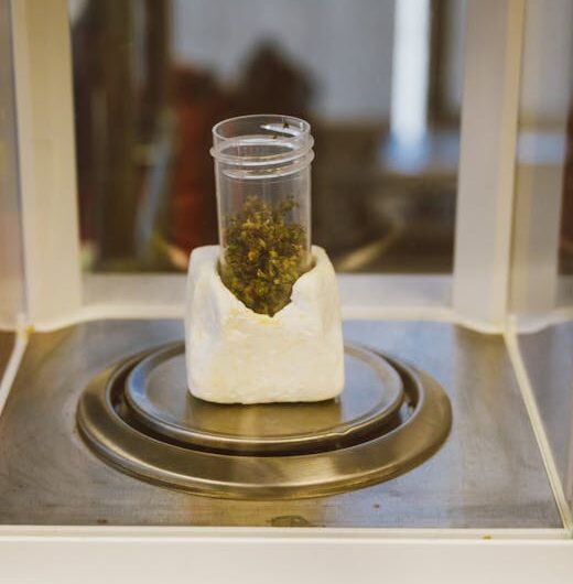 Купить семена конопли в Перми