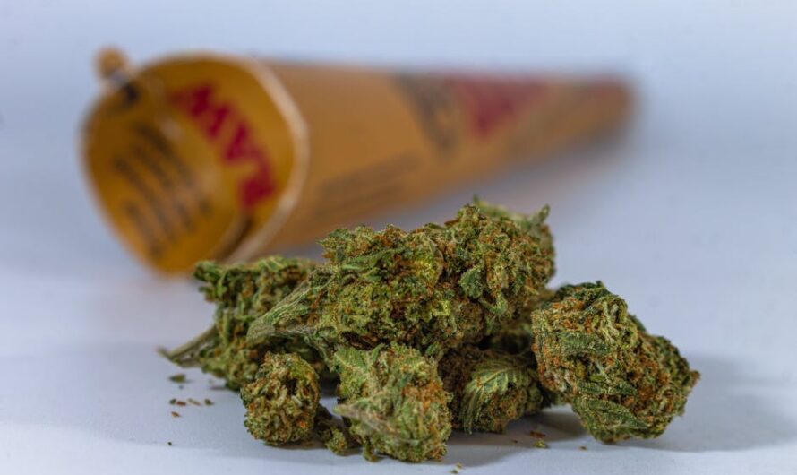 Купить семена марихуаны по почте в России с доставкой и оплатой при получении