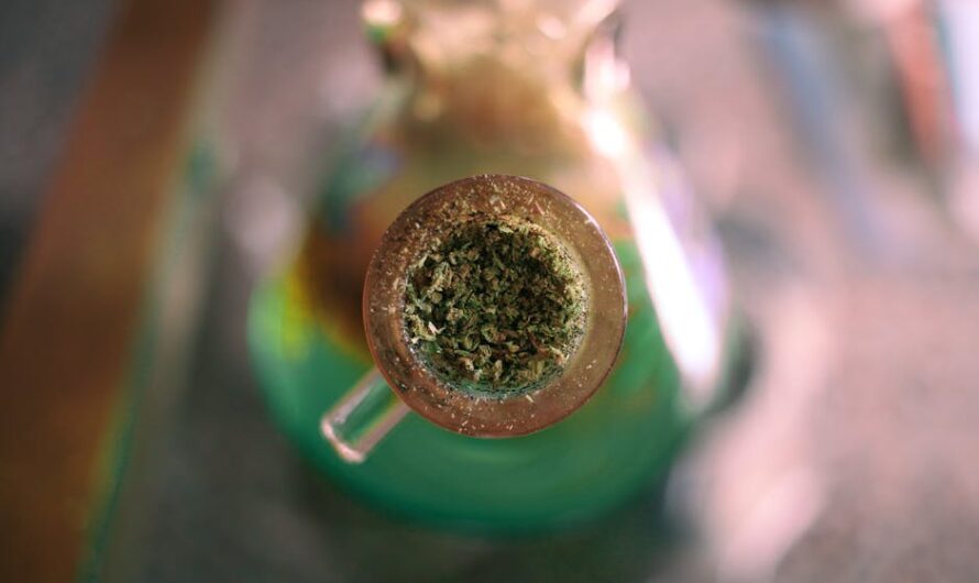 Купить семена конопли недорого в Украине и других странах