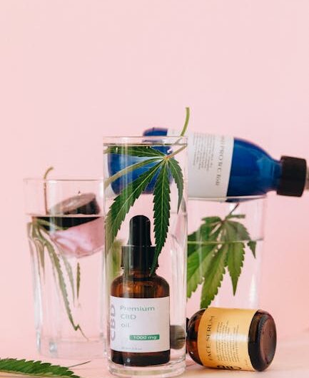 Конопля сорта Early Skunk regular от Ganja Seeds характеристики и выращивание