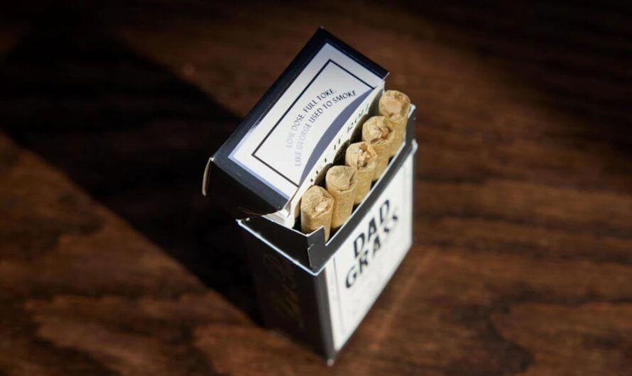 Конопля в Санкт-Петербурге: свойства и возможности приобретения