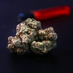 Выращивание конопли из семян img-19.jpg