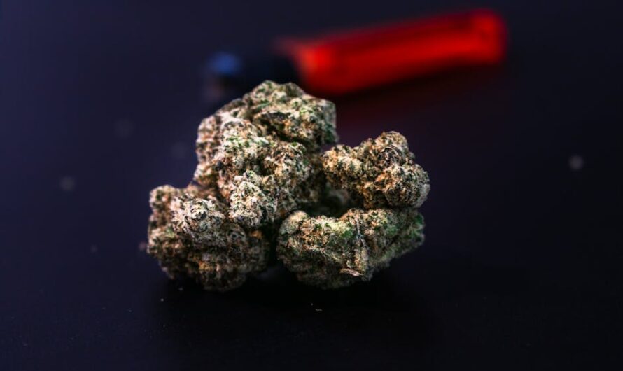 Выращивание конопли из семян