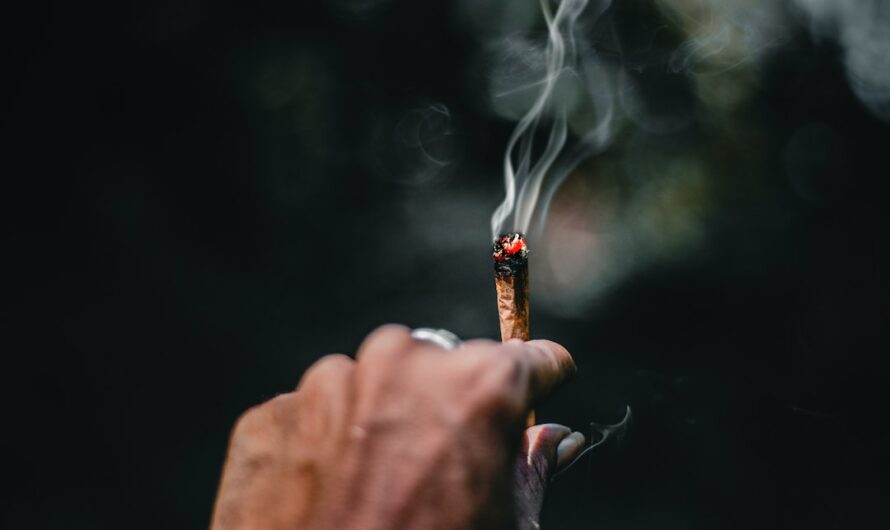 Опасность синтетических наркотиков спайс и курительных смесей