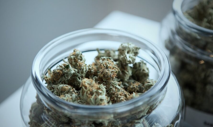 Семена конопли Zkittalicious feminised от Exotic Seed