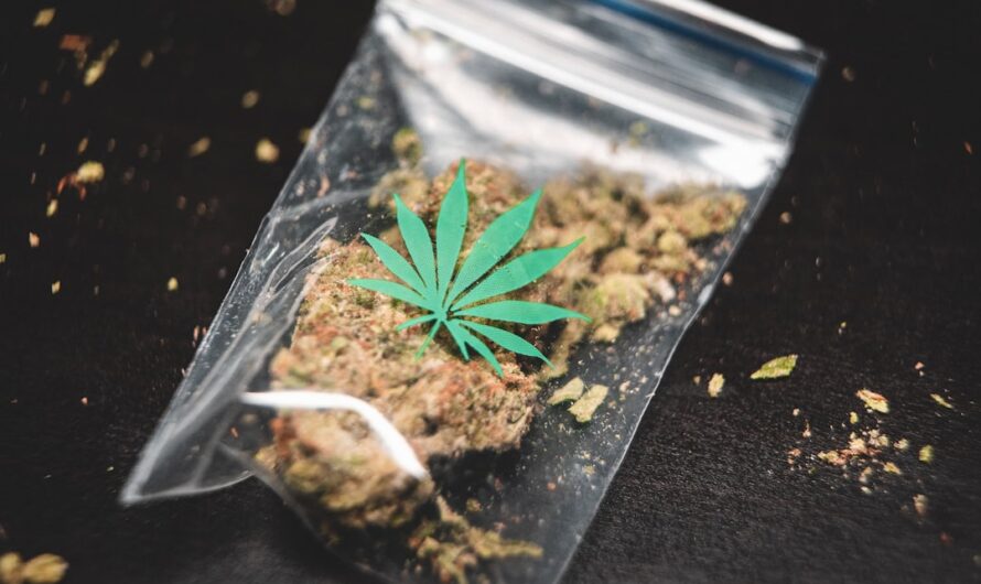 Купить гашиш в Алматы: варианты и предостережения свойства и параметры гашиша