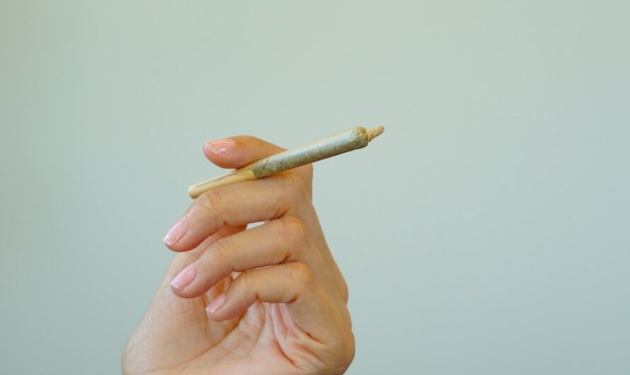 Сорта конопли и их особенности