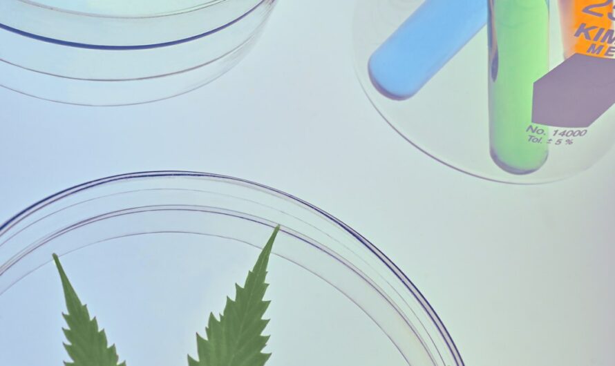 Купить спайс в Липецке онлайн и оффлайн, риски и последствия употребления