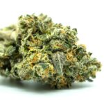 Шкафы для выращивания марихуаны и их преимущества img-2047.jpg