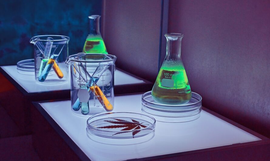 Купить семена конопли онлайн и их характеристики