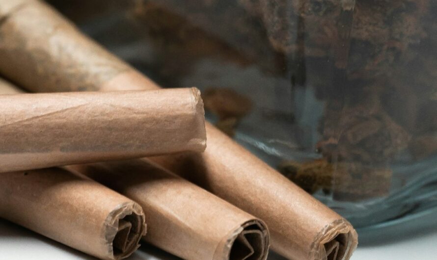 Покупка семян марихуаны онлайн и их значение