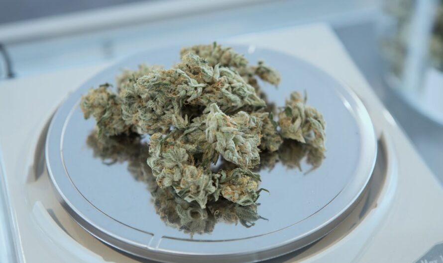 Купить гашиш онлайн в России безопасно и конфиденциально