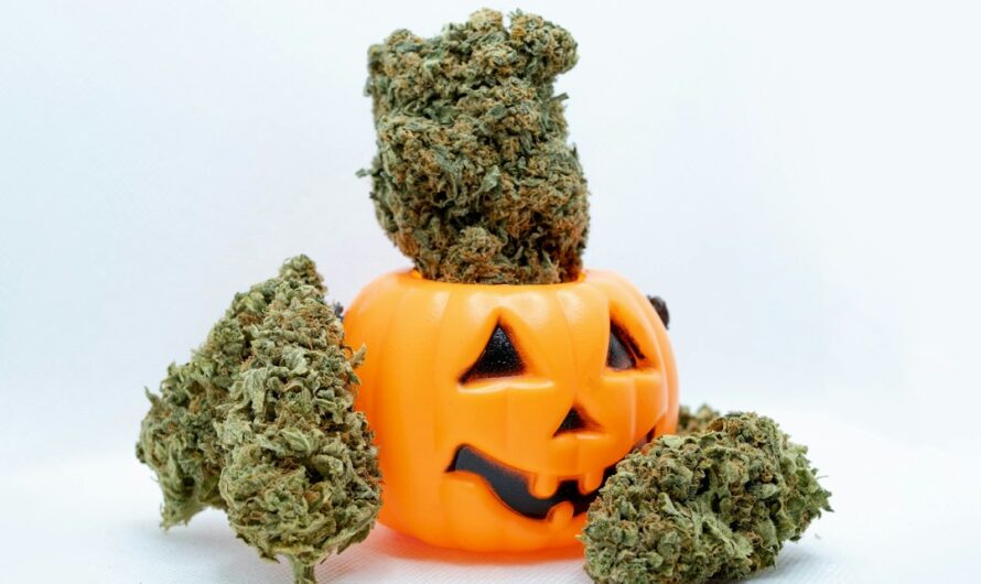 Продажа марихуаны и семян конопли в России