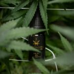 Выращивание конопли из семян img-2306.jpg