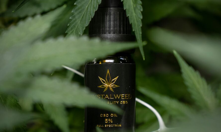 Выращивание конопли из семян