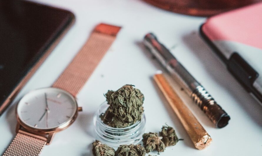 Уход за рассадой марихуаны и использование стимуляторов роста и удобрений