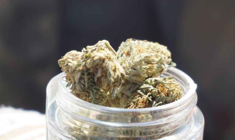 Проблема спайса во Владивостоке