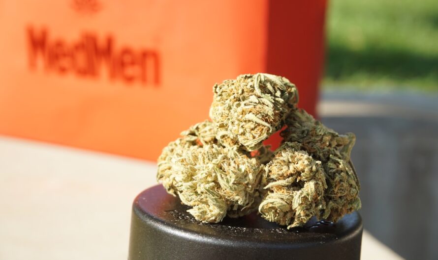 Преимущества феминизированных автоцветущих семян конопли Auto Baiterek feminised от Bang Seeds