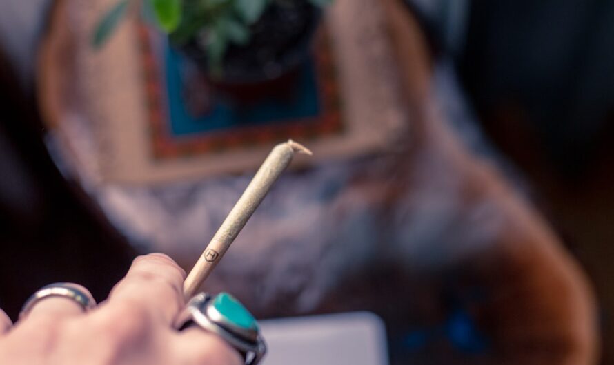 Качество семян конопли и их подготовка к посеву