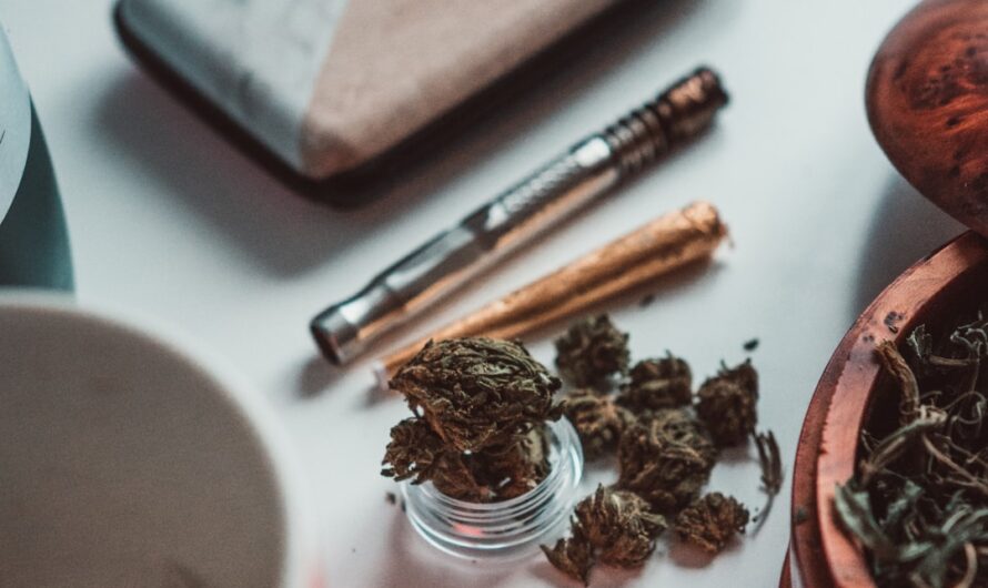 Развитие Семени Конопли Обзор Жизненного Цикла