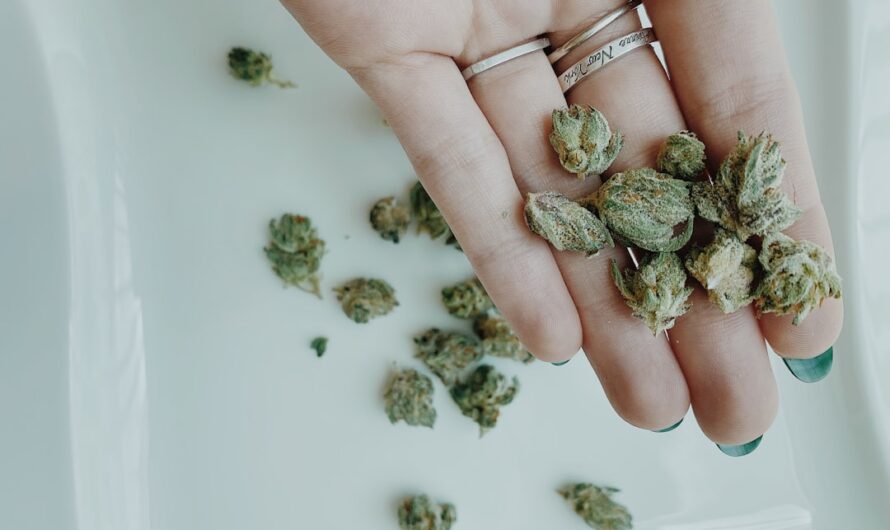 Наркозависимость в Белгороде