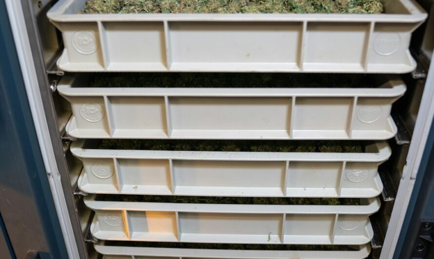 Состав и полезные свойства семян конопли