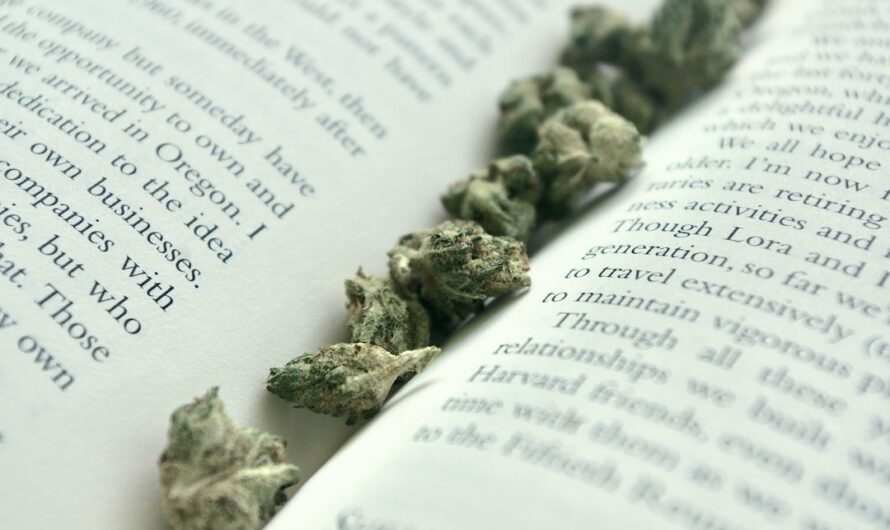 Семена конопли в Самаре и их характеристики