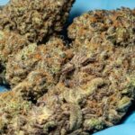 Купить гашиш в Екатеринбурге онлайн img-246.jpg