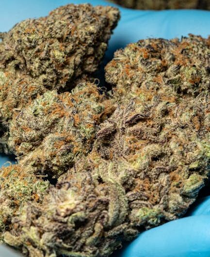 Купить гашиш в Екатеринбурге онлайн